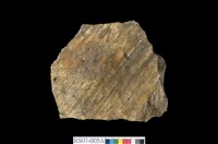 藏品(具斷層滑動面的砂岩)的圖片